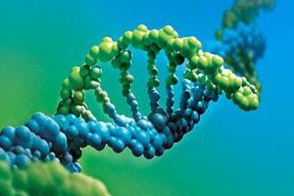 Bayer (Pty) Ltd:Orders IHD ShareCall