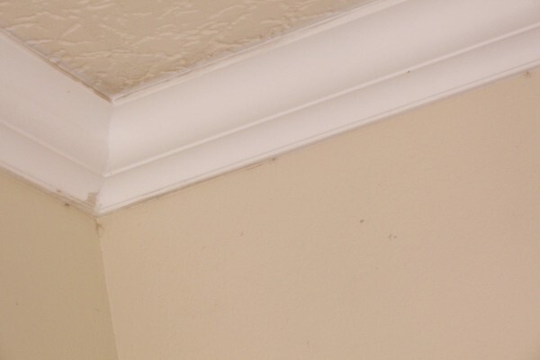 Isolite Moulding (Phumelela) (Pty) Ltd