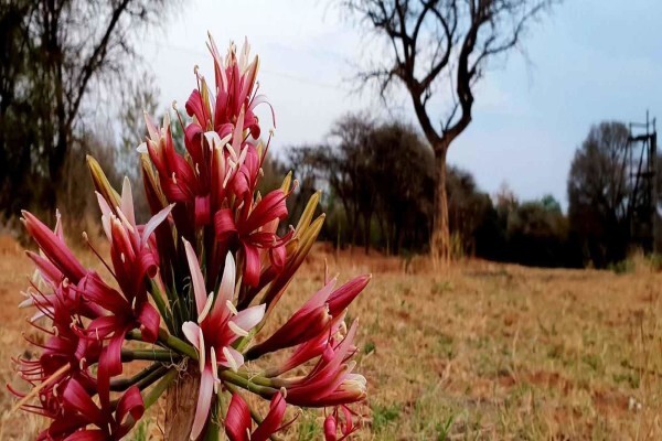 Zwartkloof Private Game Reserve