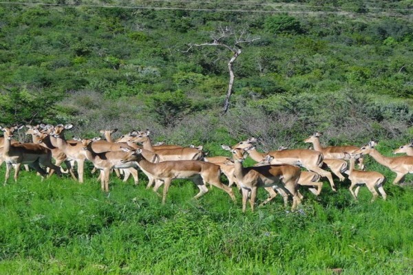 Zwartkloof Private Game Reserve