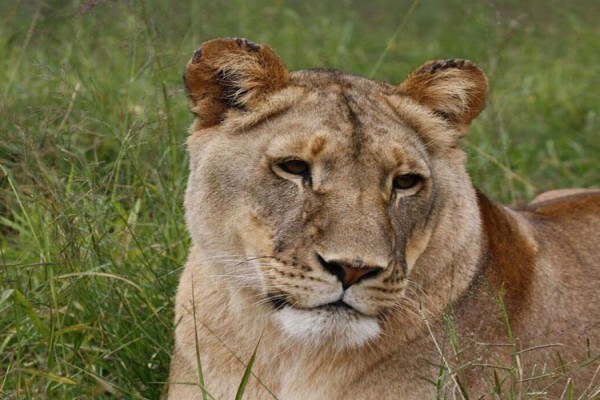Zwartkloof Private Game Reserve