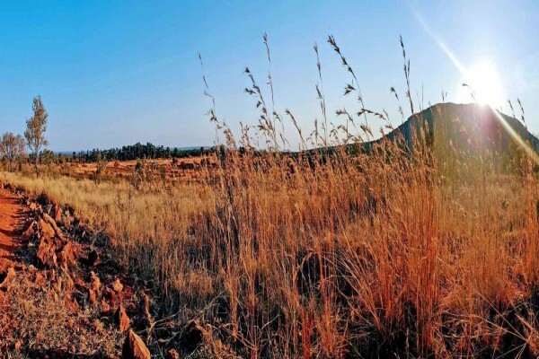 Zwartkloof Private Game Reserve