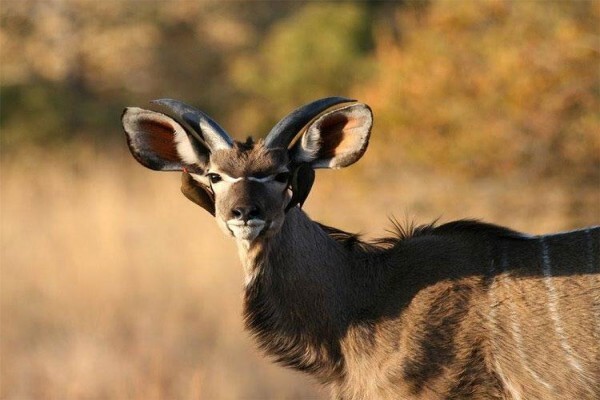 Zwartkloof Private Game Reserve