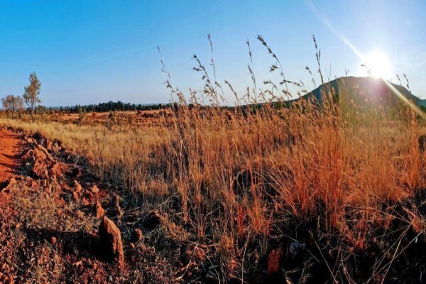 Zwartkloof Private Game Reserve