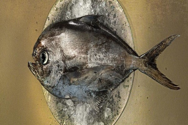 Seafood Palace