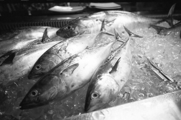 Seafood Palace