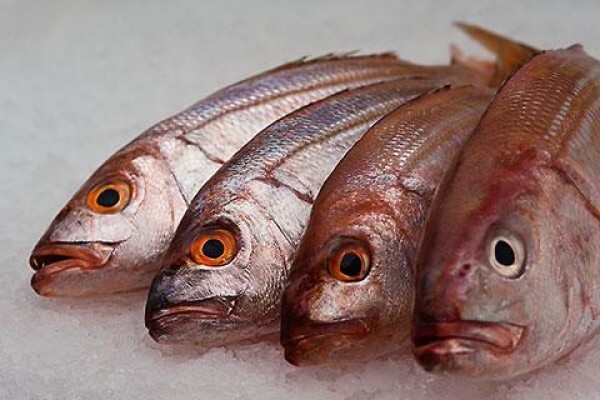 Seafood Palace