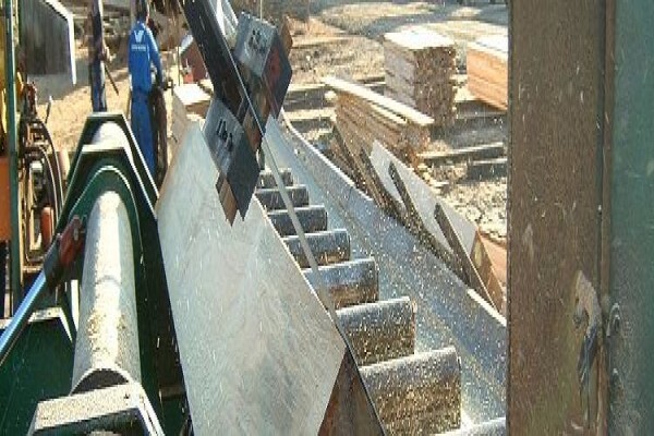 Geelhoutvlei Timbers