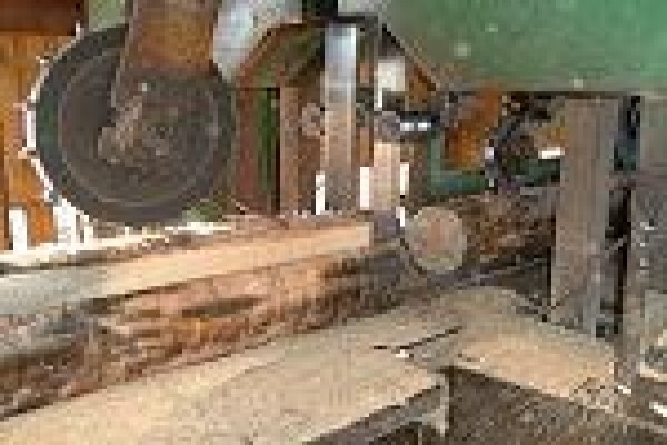 Geelhoutvlei Timbers