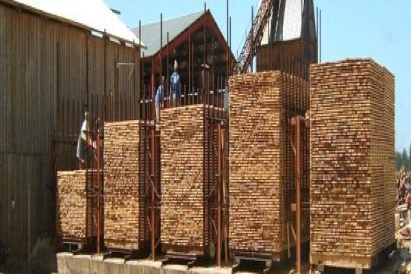 Geelhoutvlei Timbers