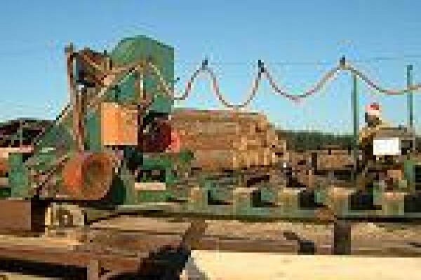 Geelhoutvlei Timbers