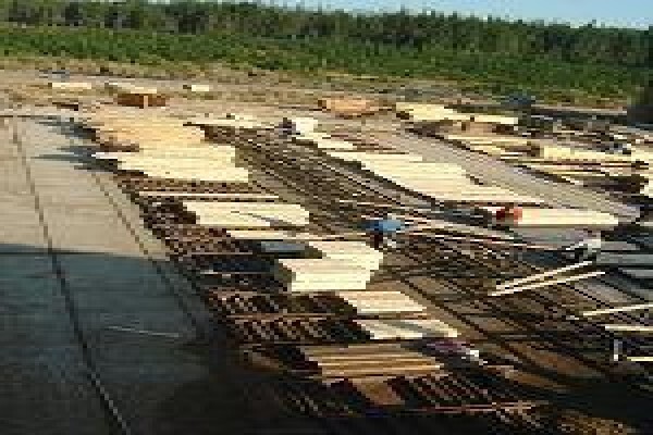 Geelhoutvlei Timbers