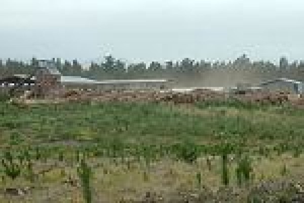 Geelhoutvlei Timbers