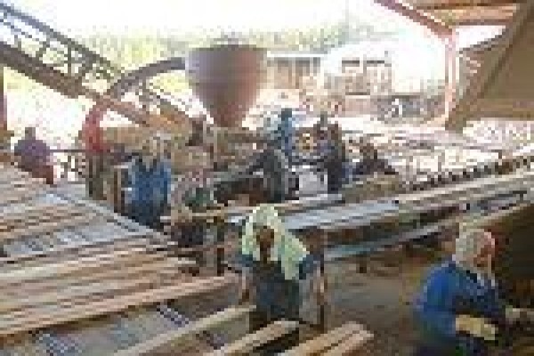 Geelhoutvlei Timbers