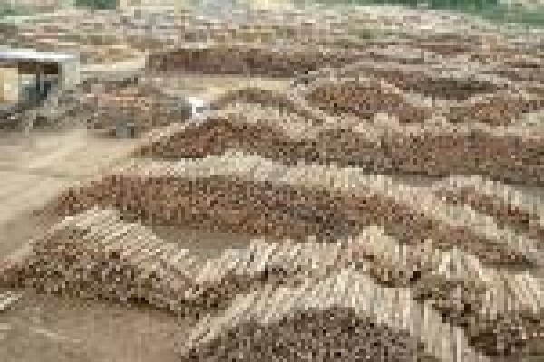 Geelhoutvlei Timbers