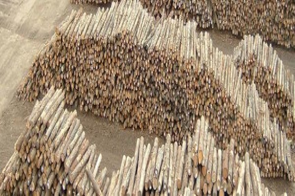 Geelhoutvlei Timbers