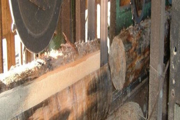 Geelhoutvlei Timbers