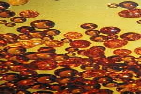 P R P Resins (Pty) Ltd