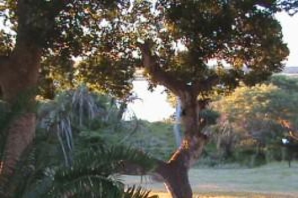 Stokkiesdraai Holiday Accommodation