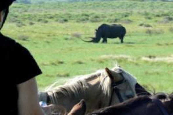Stokkiesdraai Holiday Accommodation