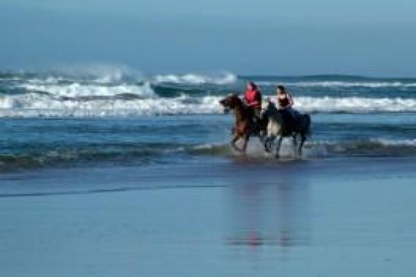 Stokkiesdraai Holiday Accommodation