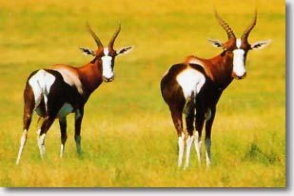 Stokkiesdraai Holiday Accommodation