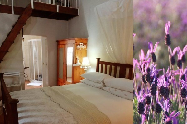 La Rochelle B&B