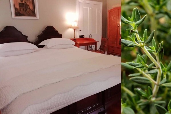 La Rochelle B&B