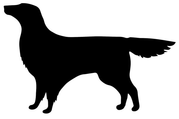 Zimzala K9 Estate