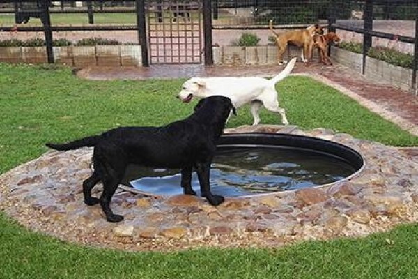 Zimzala K9 Estate