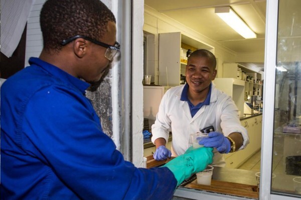 Classiq Coatings CC