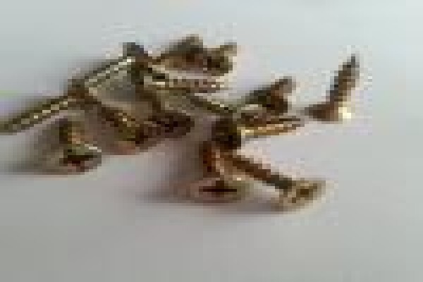Twin Thumb Fasteners