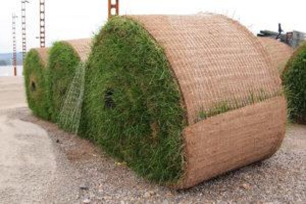 Landscape Irrigation Assn