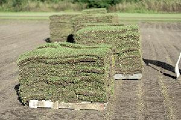 Landscape Irrigation Assn