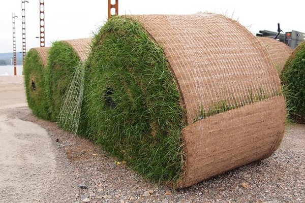 Landscape Irrigation Assn