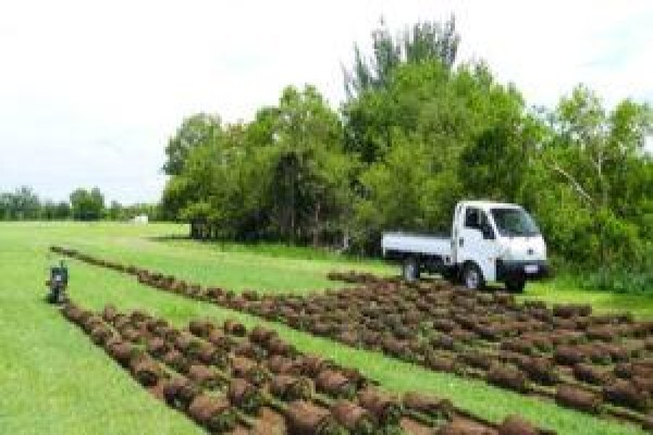 Landscape Irrigation Assn