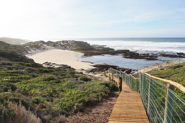 De Hoop Collection