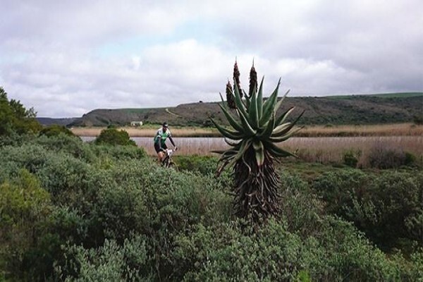De Hoop Collection