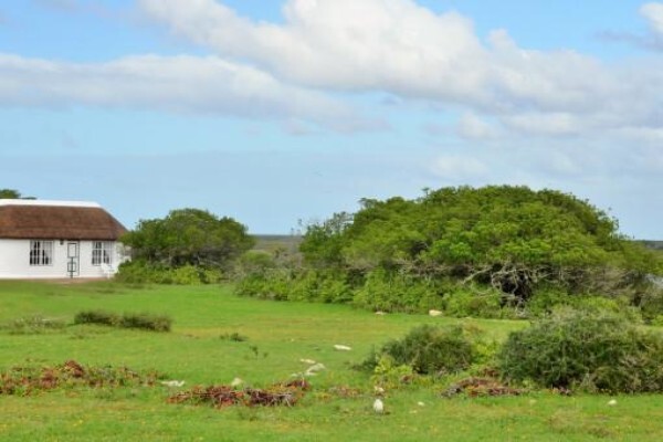 De Hoop Collection