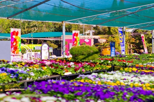 Flora Farm Garden Centre