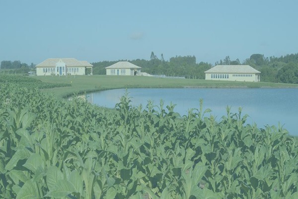 Universal Leaf Africa (Pty)Ltd