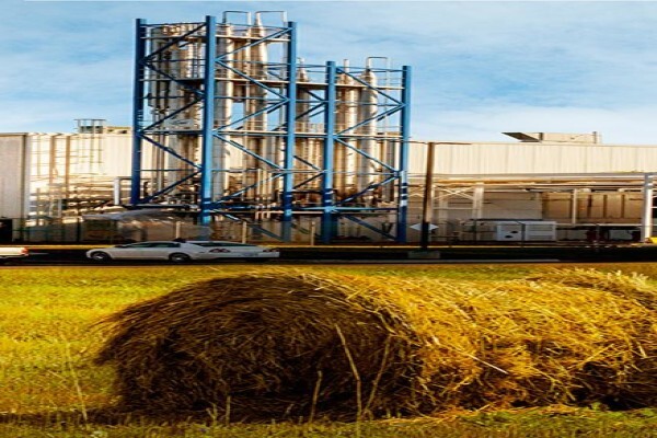 Universal Leaf Africa (Pty)Ltd