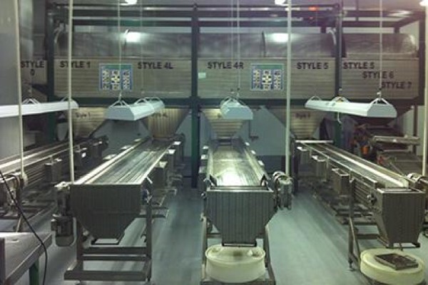 Multi-Weigh Technologies CC