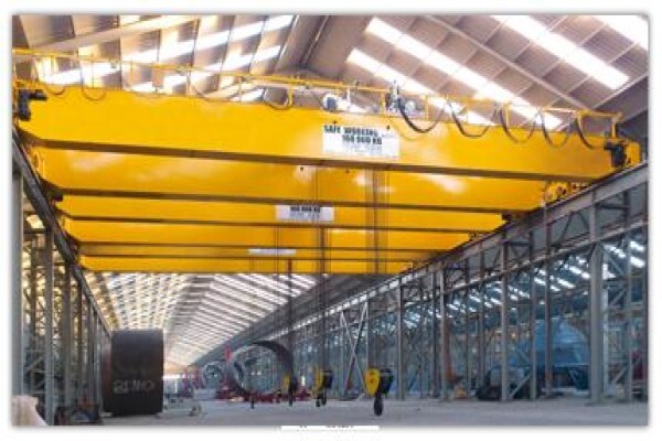 Pro Crane Services