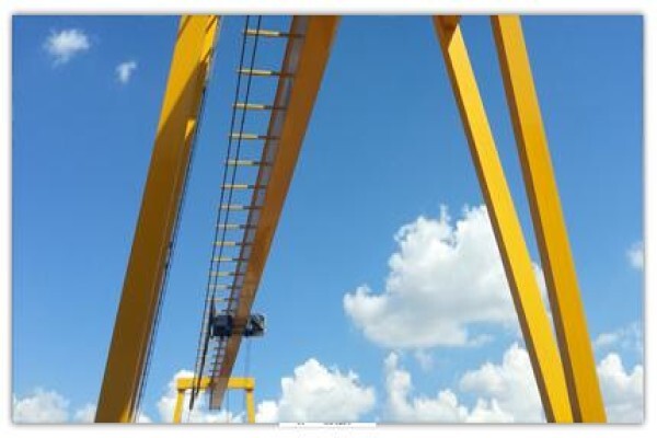 Pro Crane Services