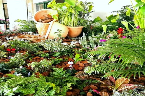 Gardenshop (Pty) Ltd