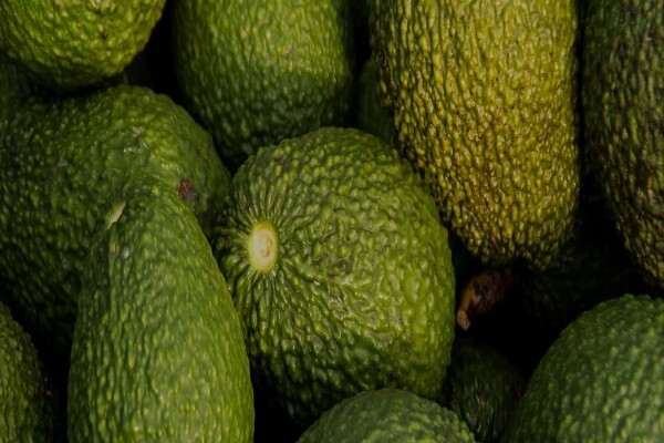 Fruits Unlimited