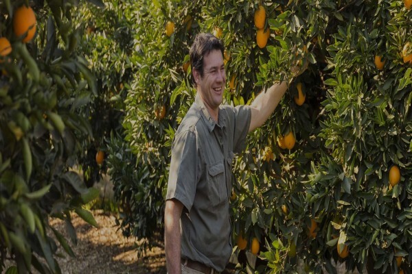 Fruits Unlimited