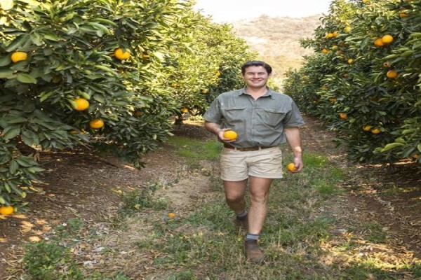 Fruits Unlimited