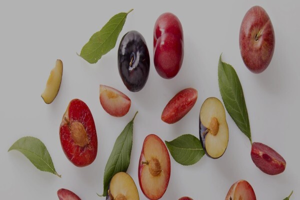 Fruits Unlimited